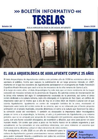 Imagen Boletín Teselas Nº38
