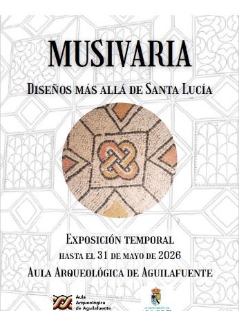 Imagen MUSIVARIA