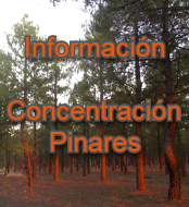 Imagen Información Concentración de Pinares
